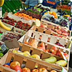 Celebrating Agriculture Week